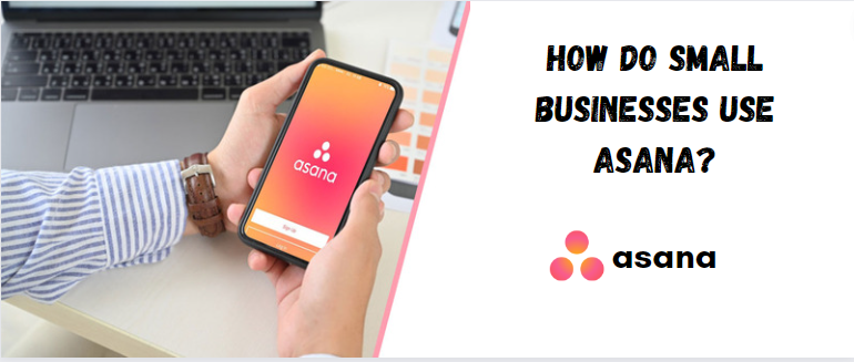 How Do Small Businesses Use Asana?