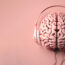 Headphones on the brain give the concept How Music Affects the Brain.